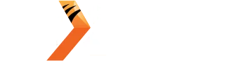 Nextspin711 Logo