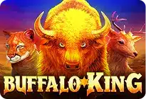 buffalo king