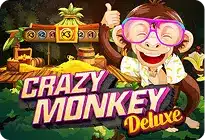 crazy monkey