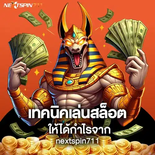 เทคนิคเล่นสล็อตให้ได้กำไรจาก Nextspin711
